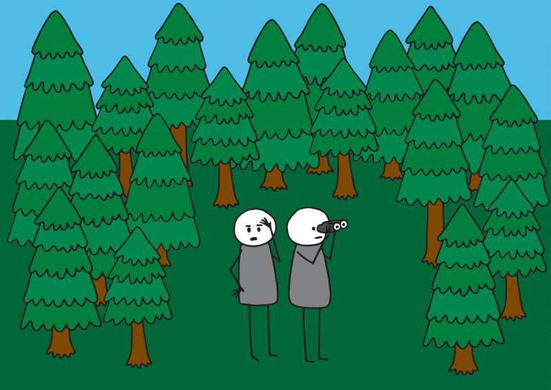 Finding it hard to see the wood for the trees when it comes to choosing the most suitable pathway for your year 10 student? Finding it hard to see the wood for the trees when it comes to choosing the most suitable pathway for your year 10 student?